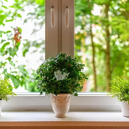 Max アパート グディニャ