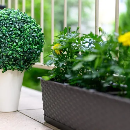 Max * グディニャ