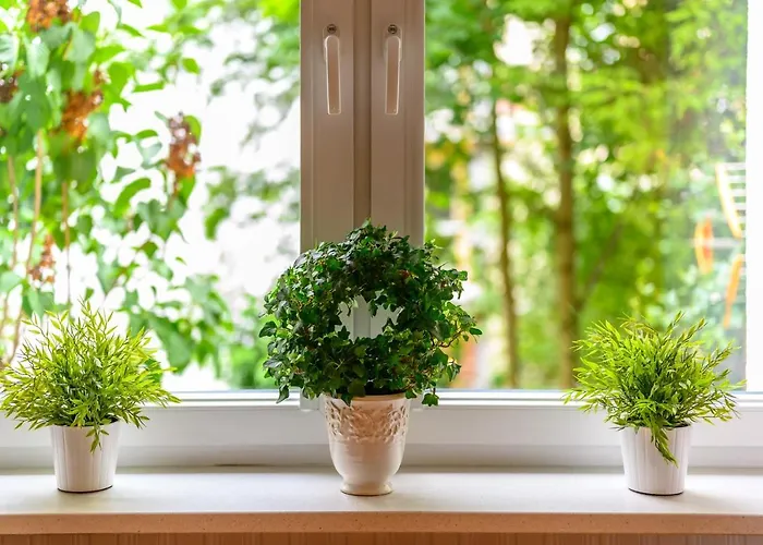 Max דירה גדינייה