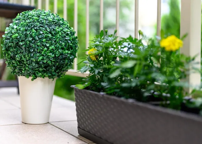 Max * グディニャ